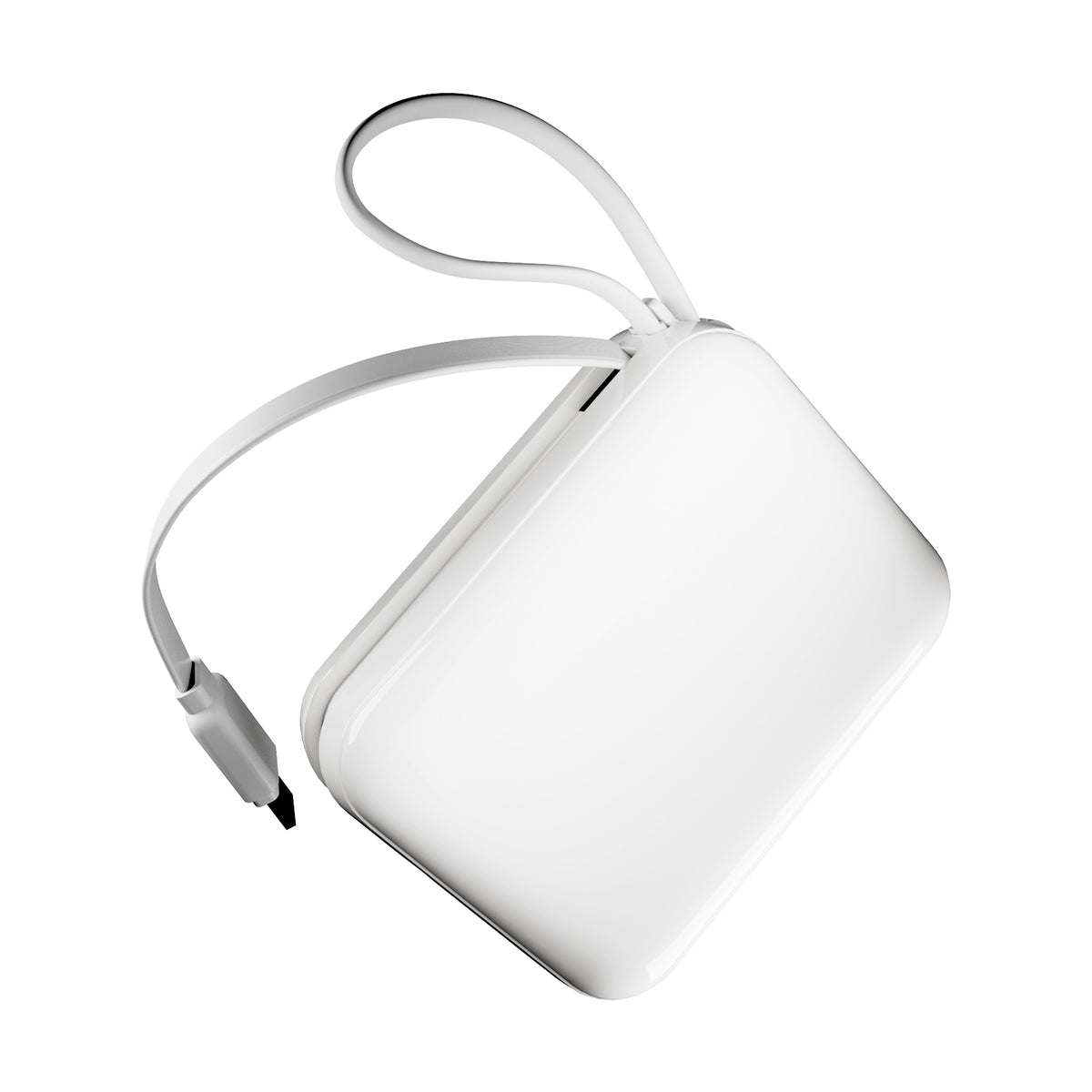 LCD Power Duo 10 20 W 10,000 mAh power bank, with built-in cables and display